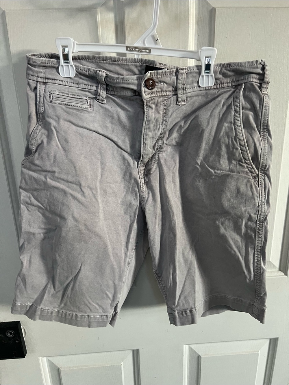 American Eagle Outfitters Gray Flat Front Men’s Shorts